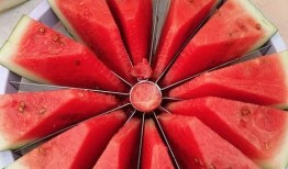 今日吃瓜每日大赛